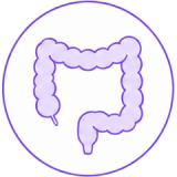 icon (10)