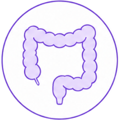 icon (10)